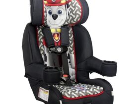 Paw Patrol Car Seat