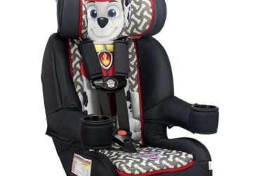 Paw Patrol Car Seat