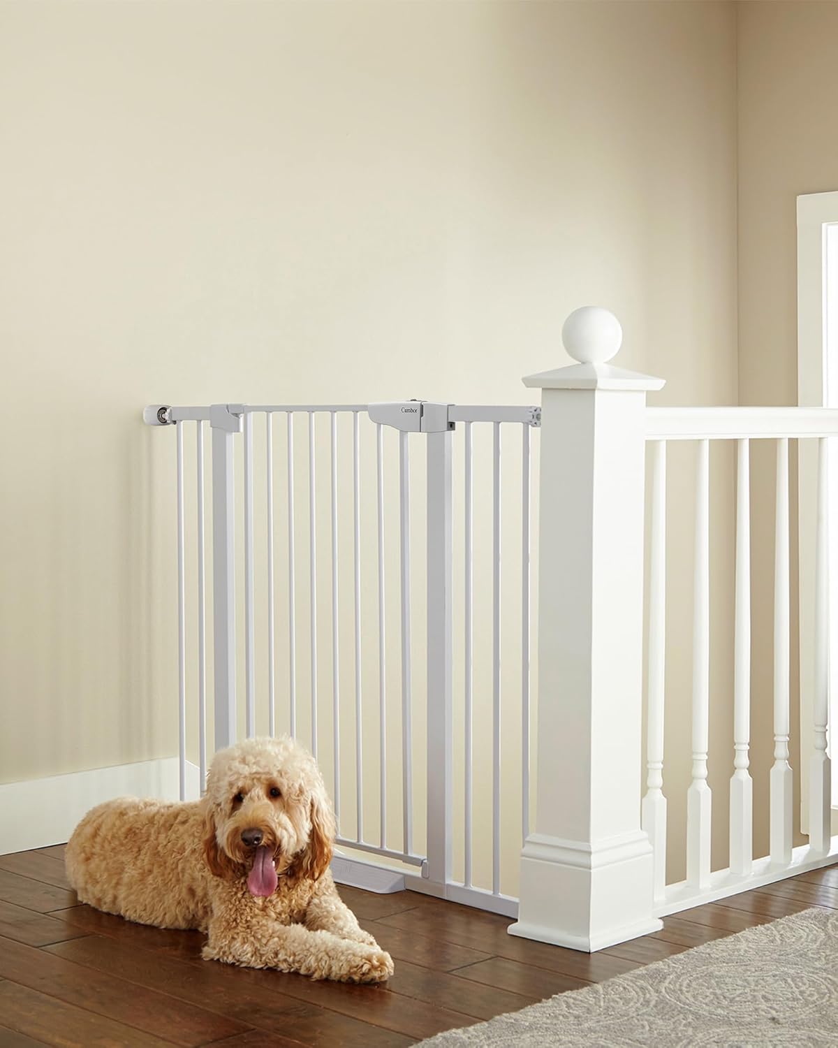 Auto Close Dog Gate for the House